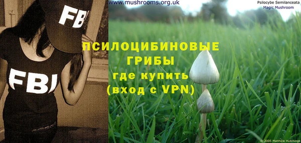 mdpv Алзамай